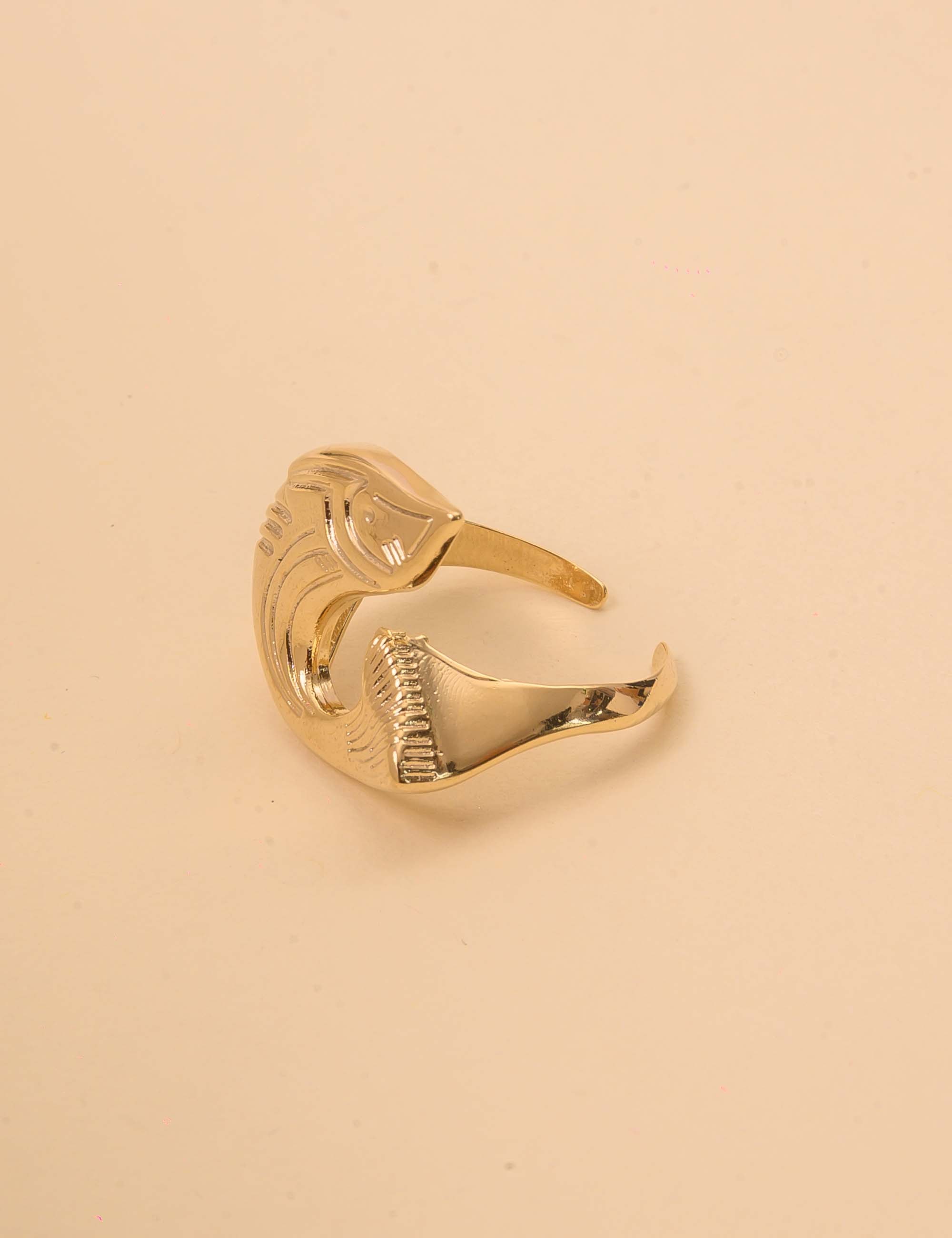 ANEL METAL OURO PEIXE - AN29108VO01
